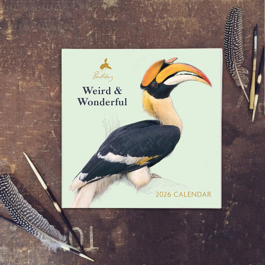 Limited edition - 2026 Wall Calendar | Square Wall Calendar (A)