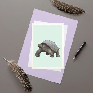 Galapagos Giant Tortoise Greetings Card
