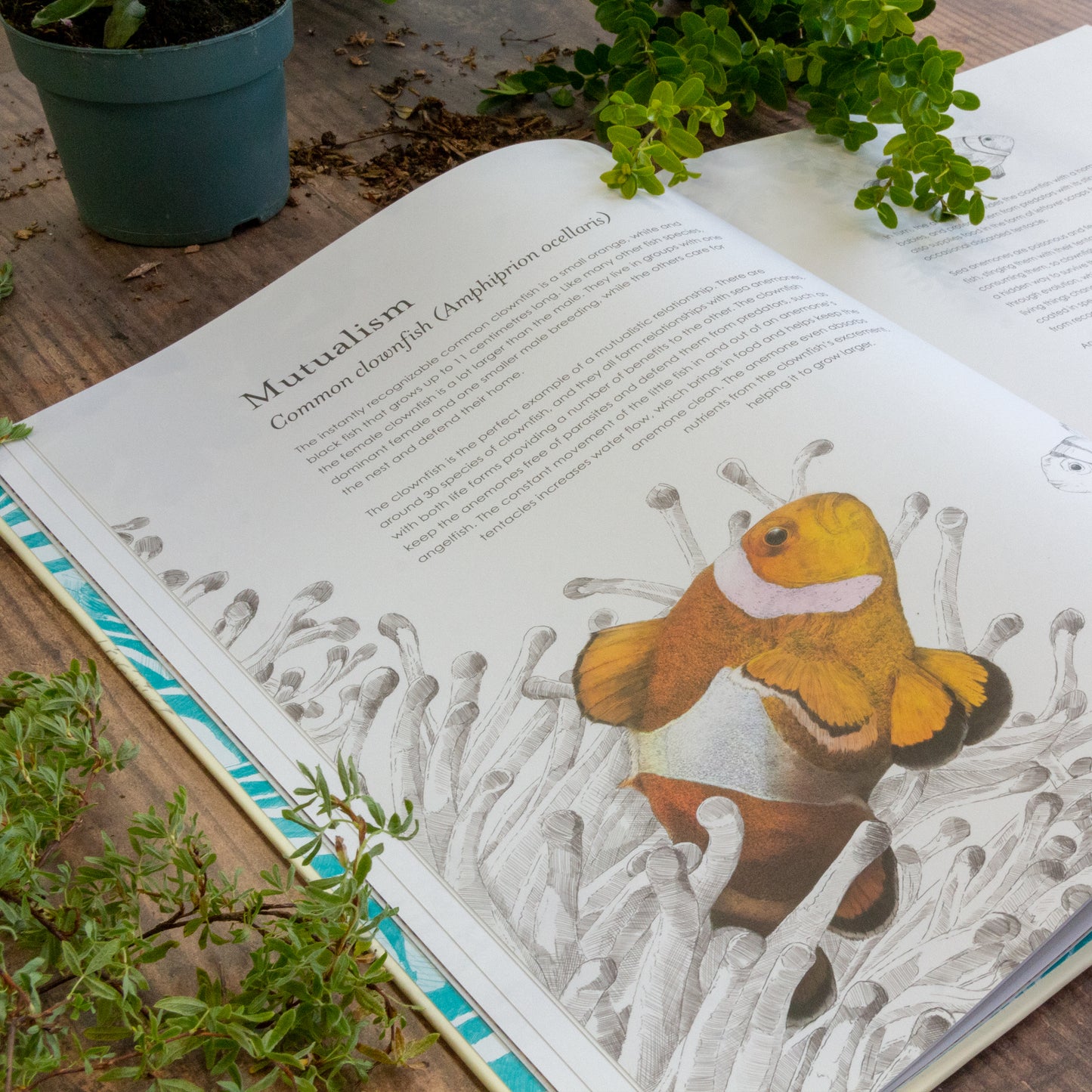 Hidden Planet – Ben Rothery (Paperback)