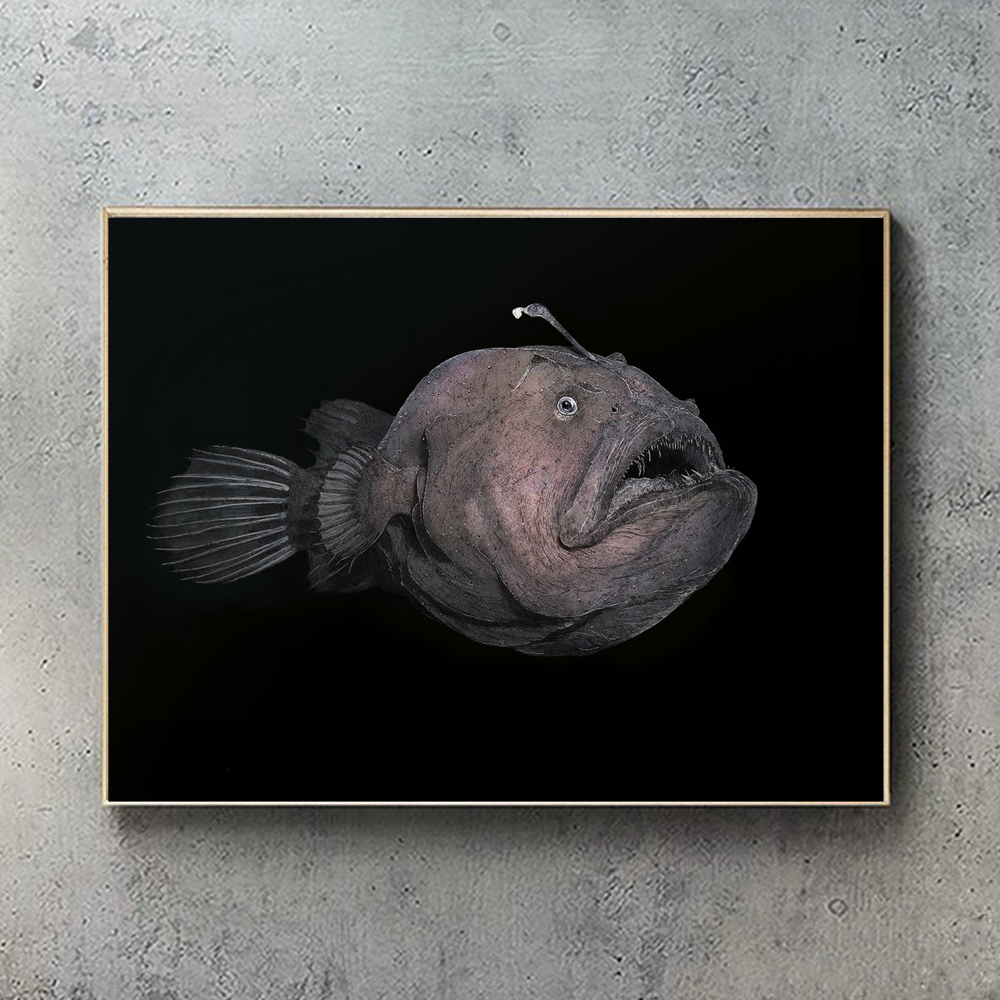 Scary lady Limited Edition of 24 | Deep Sea Anglerfish