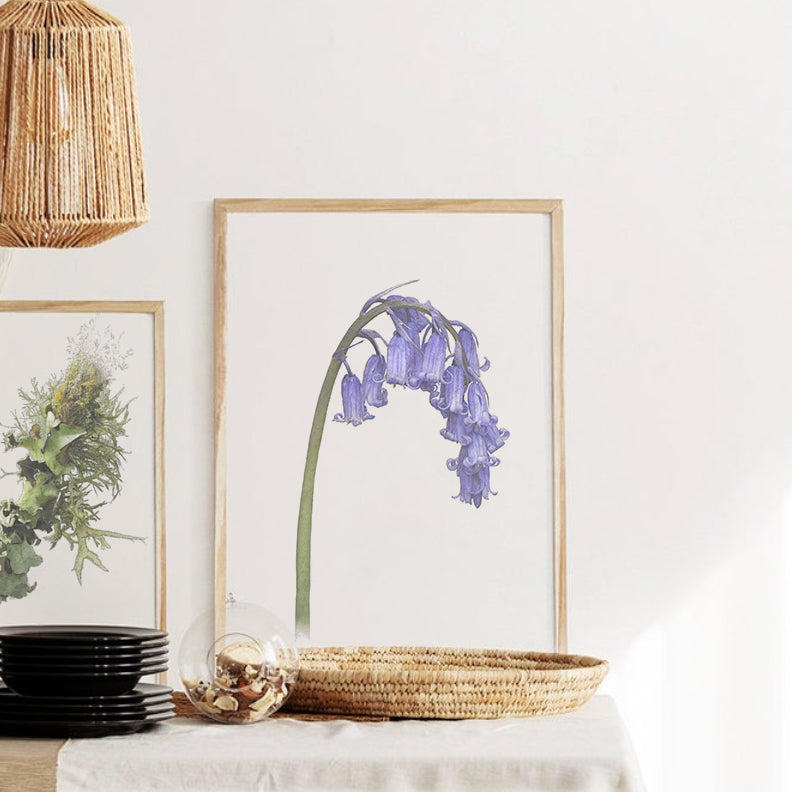 British Bluebell Print | Botanical Art | Botanical Print | Bluebell Print