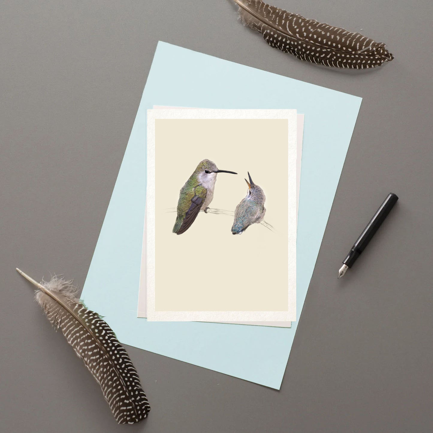 Costa's Hummingbirds, Valentines Day Card