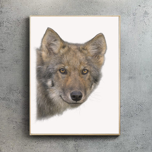 Coastal Wolf | Grey Wolf Print | Wolf Print | Wolf Portrait