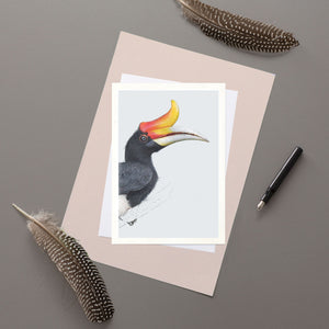Rhinoceros Hornbill - Greeting Card