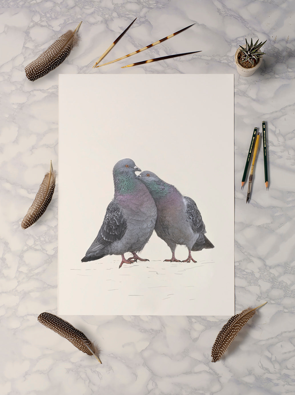 Love Birds Pigeon print | Pigeon Print | Cute Pigeon Couple | Cute Birds Print