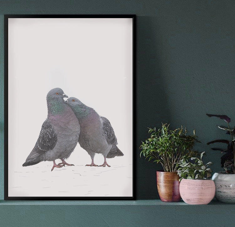Love Birds Pigeon print | Pigeon Print | Cute Pigeon Couple | Cute Birds Print