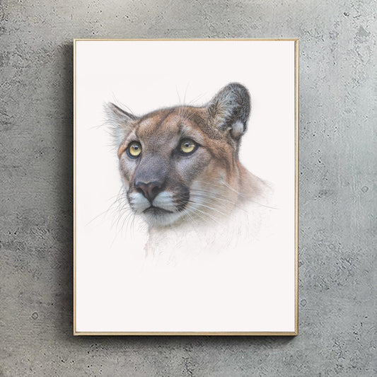 Mountain Lion print | Mountain Lion | Puma | Cougar | Big Cat