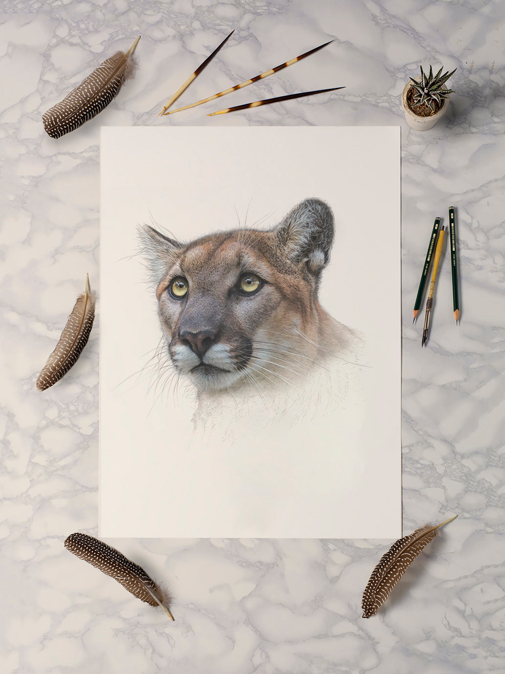 Mountain Lion print | Mountain Lion | Puma | Cougar | Big Cat