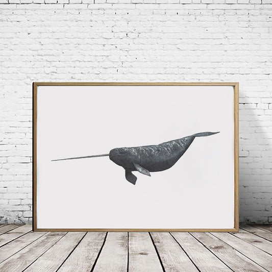Narwhal