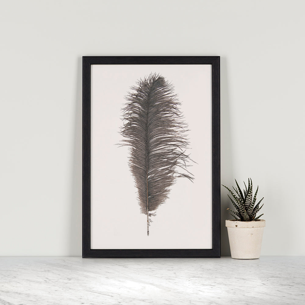 Ostrich Feather Mini Print