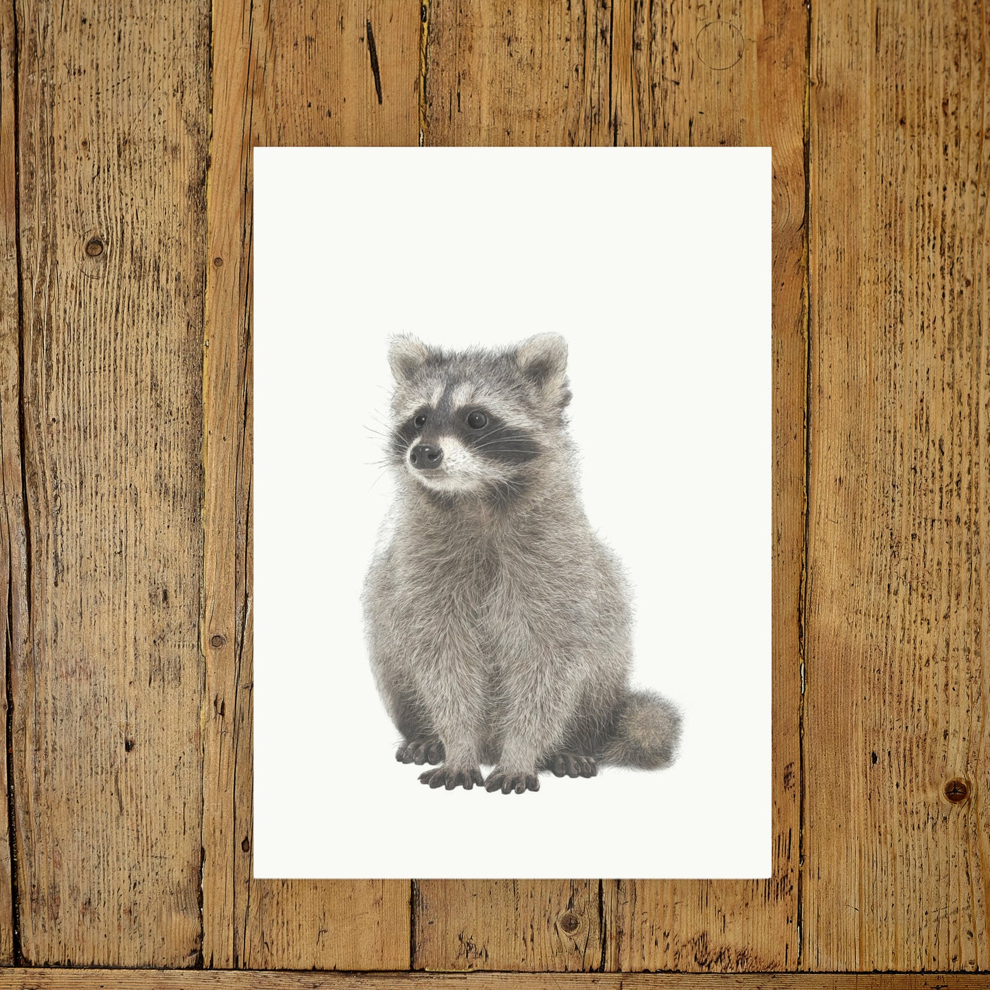 Raccoon print | Cute Raccoon | Trash Panda | Cute Raccoon Print