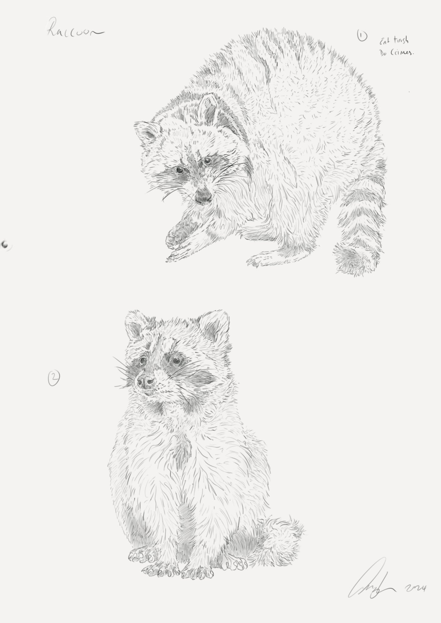 Raccoon print | Cute Raccoon | Trash Panda | Cute Raccoon Print