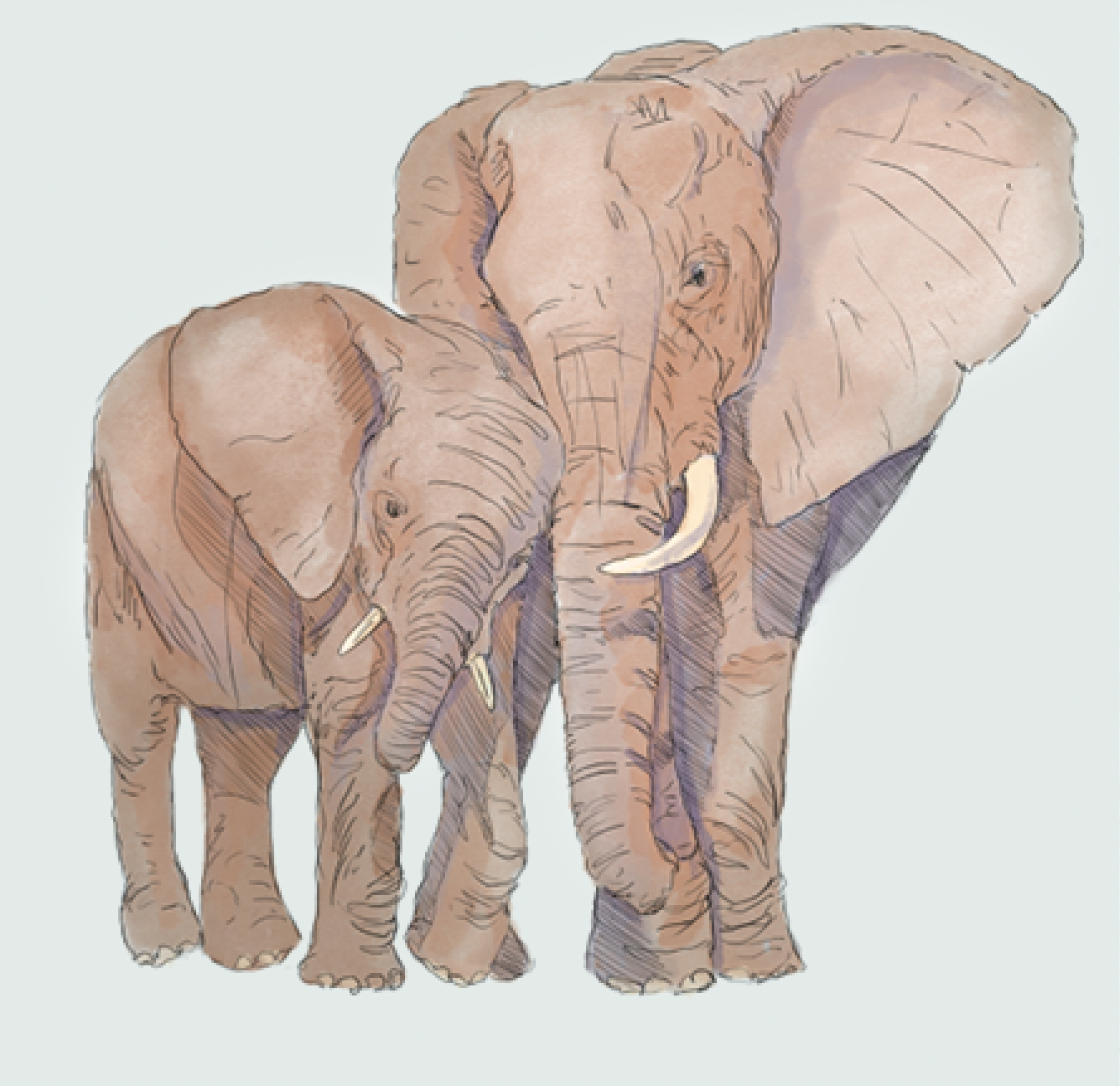 To an Elephantastic Mum