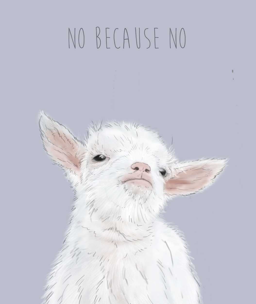 No Because No - Humour Greetings Card