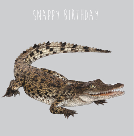 Snappy Birthday - Birthday Card - Reduced to Clear