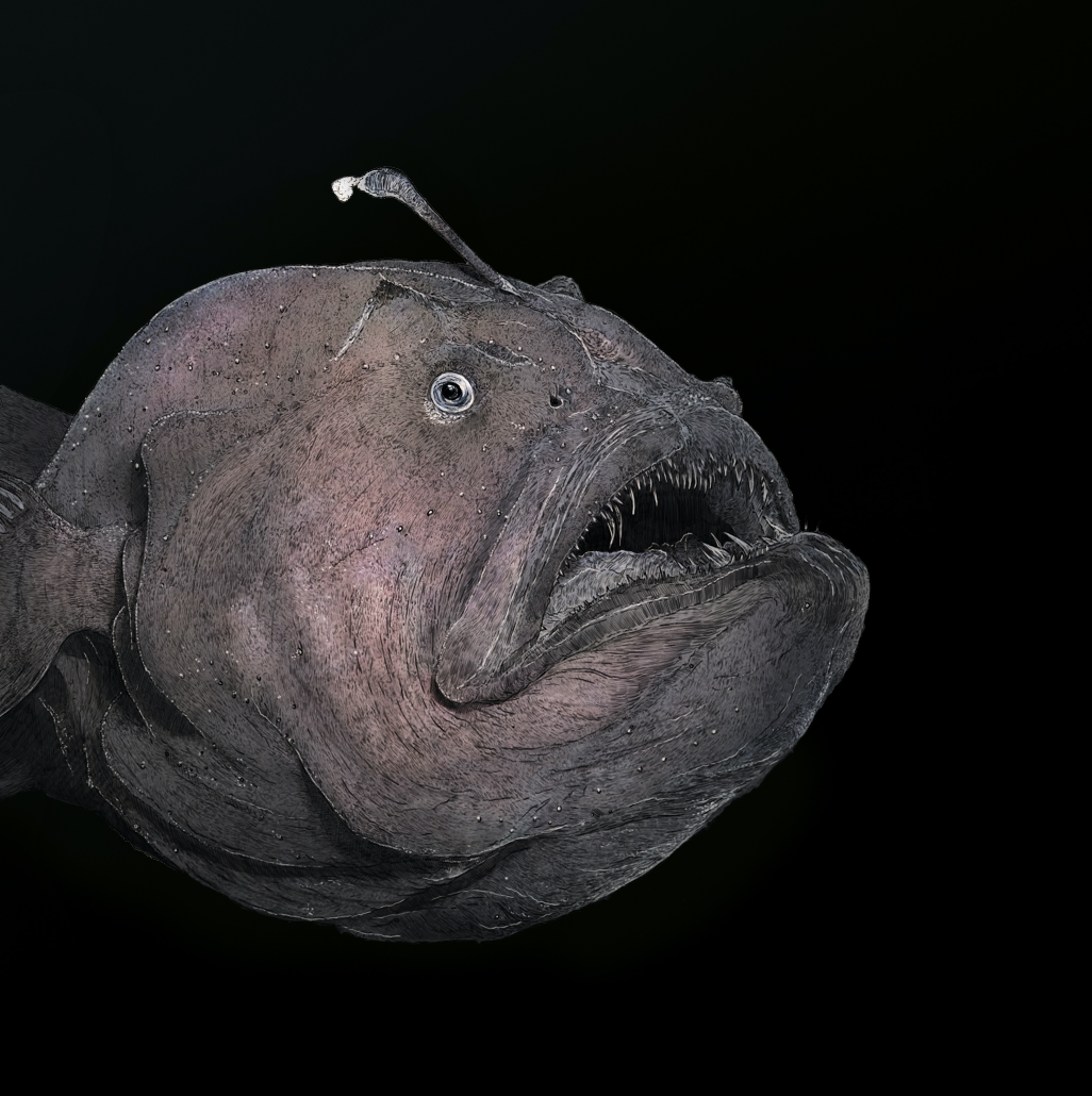 Scary lady Limited Edition of 24 | Deep Sea Anglerfish