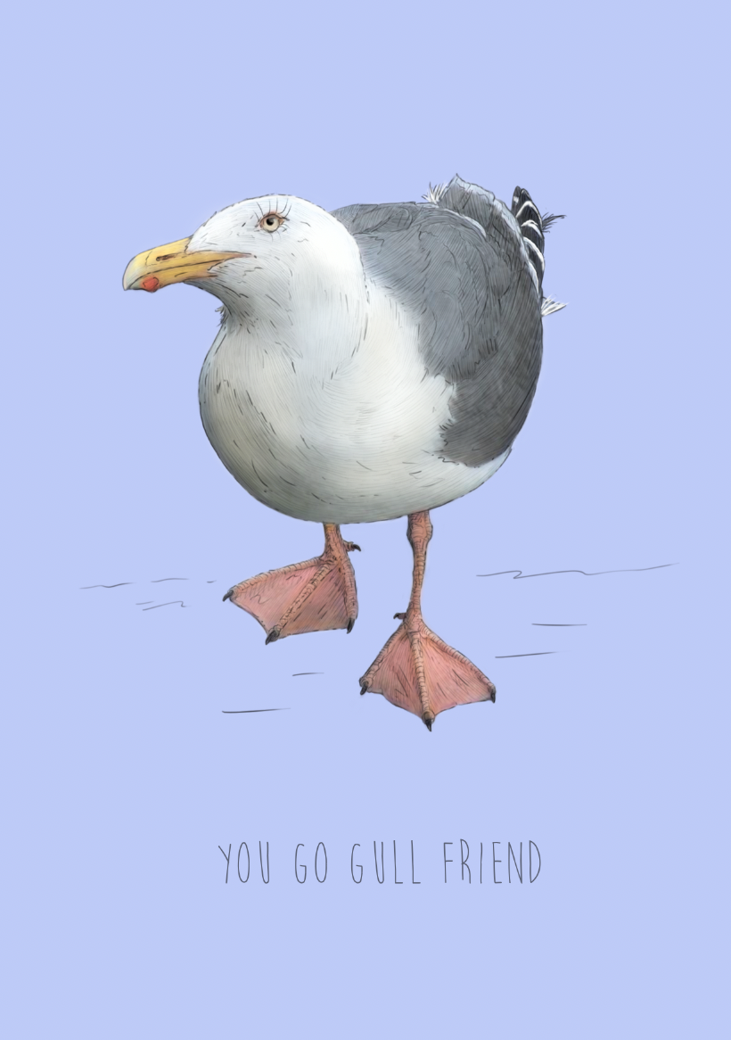 You go Gull Friend greetings card | funny Card | Sea Gull card | For Him | For Her | Grumpy animal | cute Animal card | funny animal card