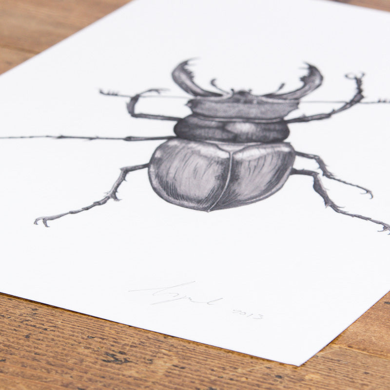 Stag Beetle print - Black and White Version - Reduced to Clear