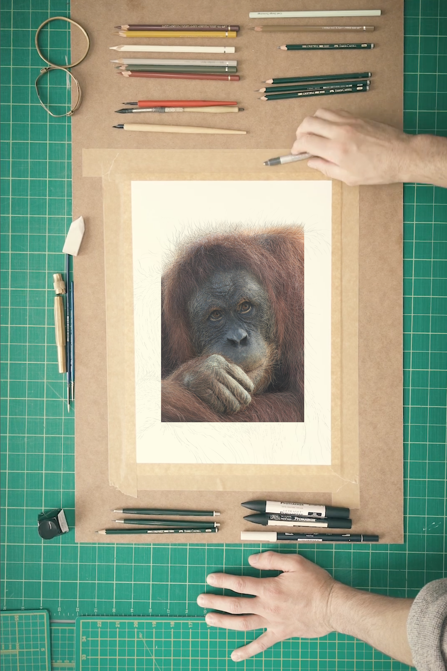 Orangutan print | Sumatran Orangutan | Great Ape | Beautiful Orangutan Print