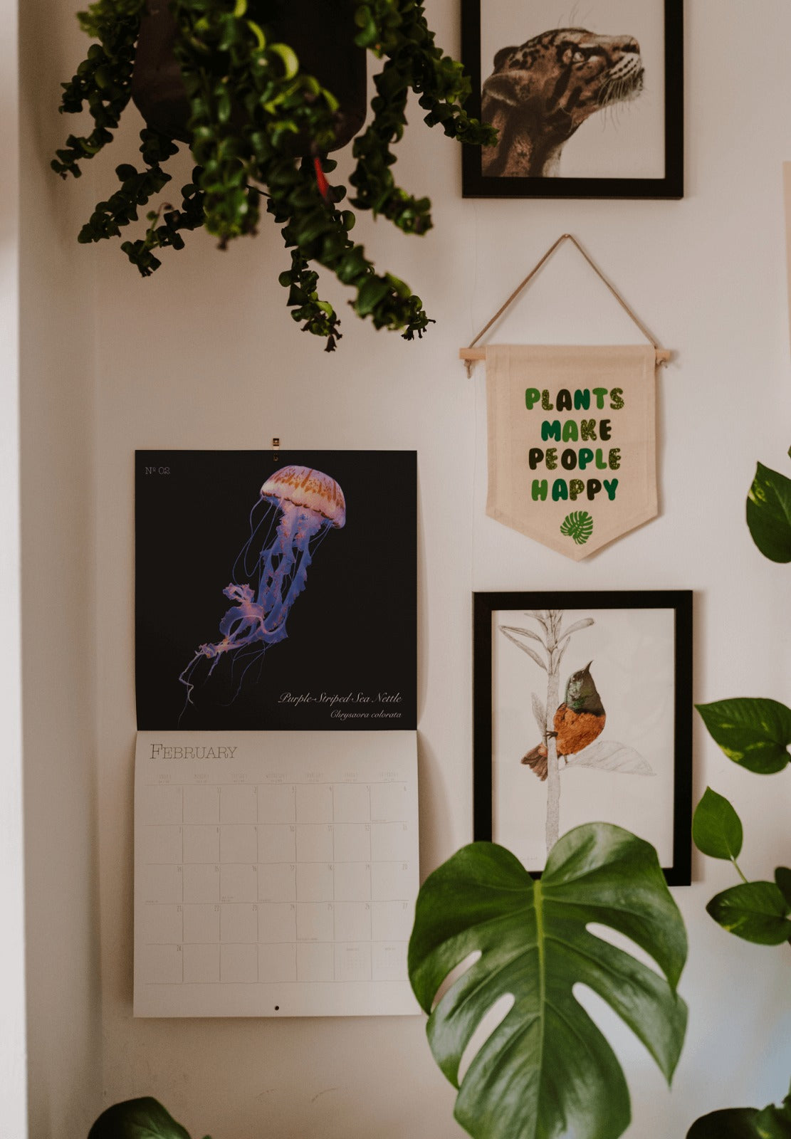 Limited edition - 2026 Wall Calendar | Square Wall Calendar (A)