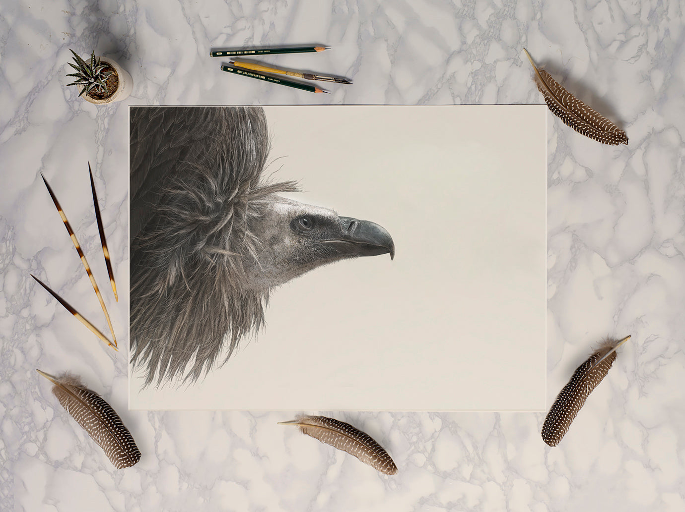 White Backed Vulture Charity Art Print