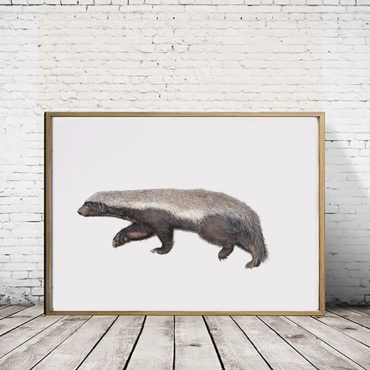 Honey Badger - Reduced to Clear