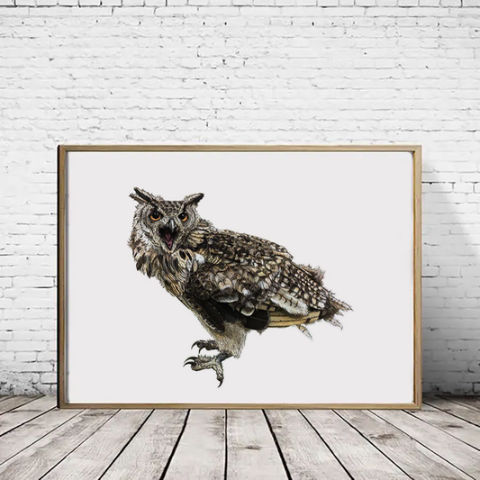African Eagle Owl Print