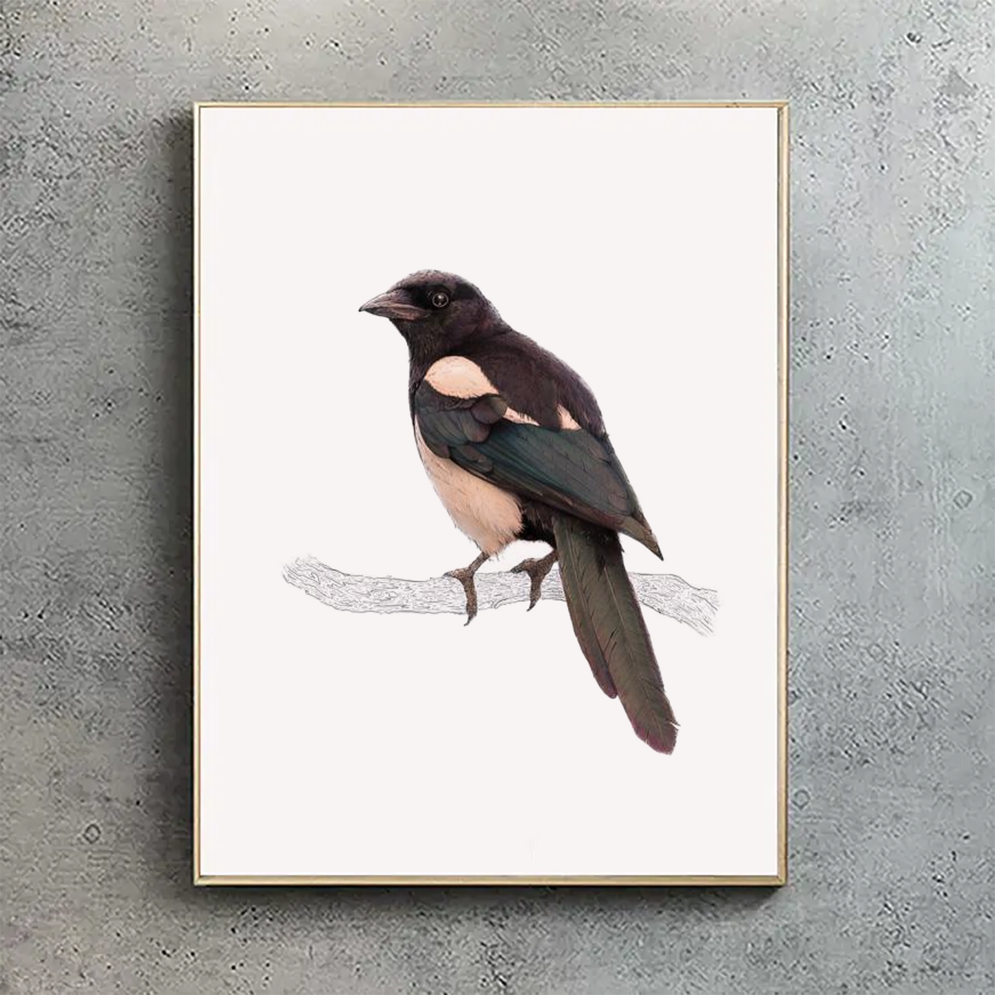 Eurasian Magpie Print 1