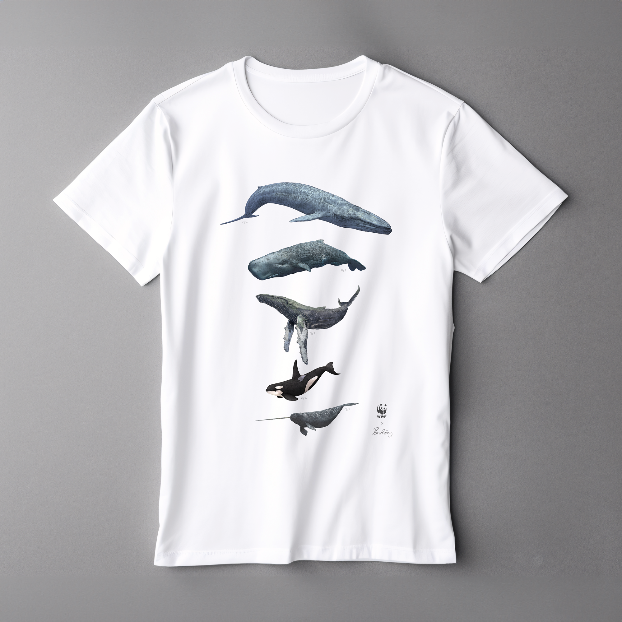 WWF x Ben Rothery T shirts Whales Hidden Planet