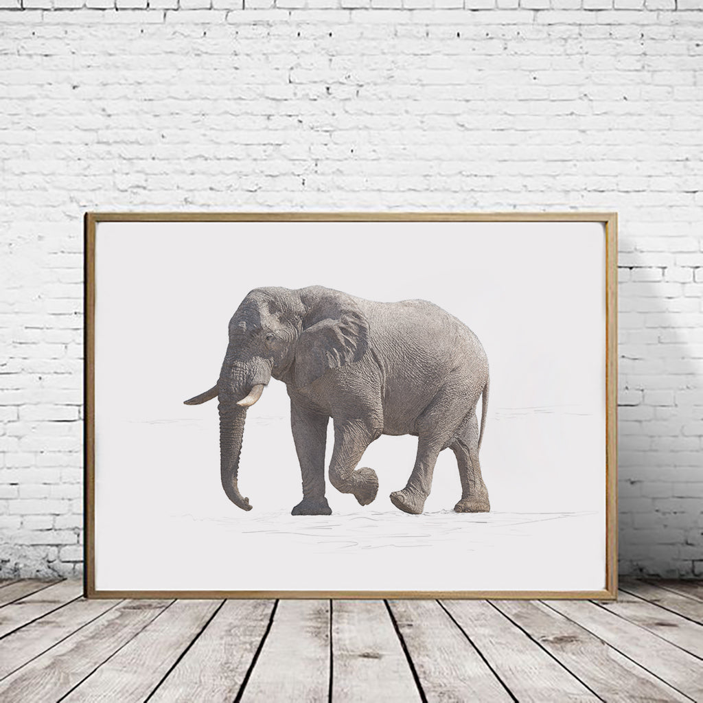 African Elephant Print