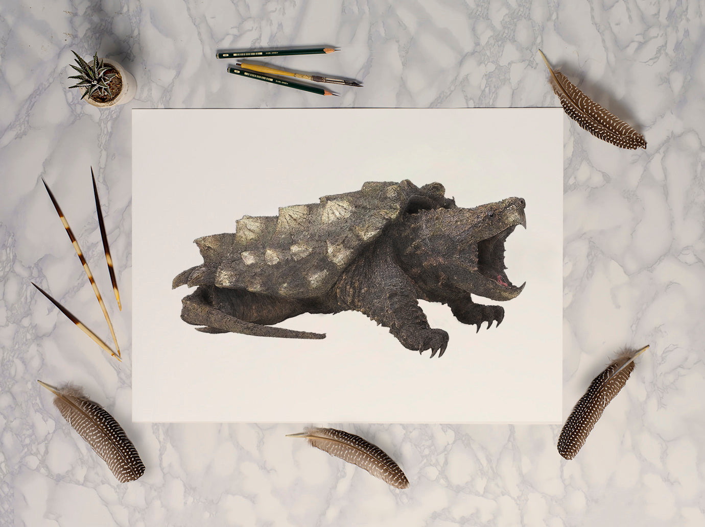 Alligator Snapping Turtle print - Reduced to clear