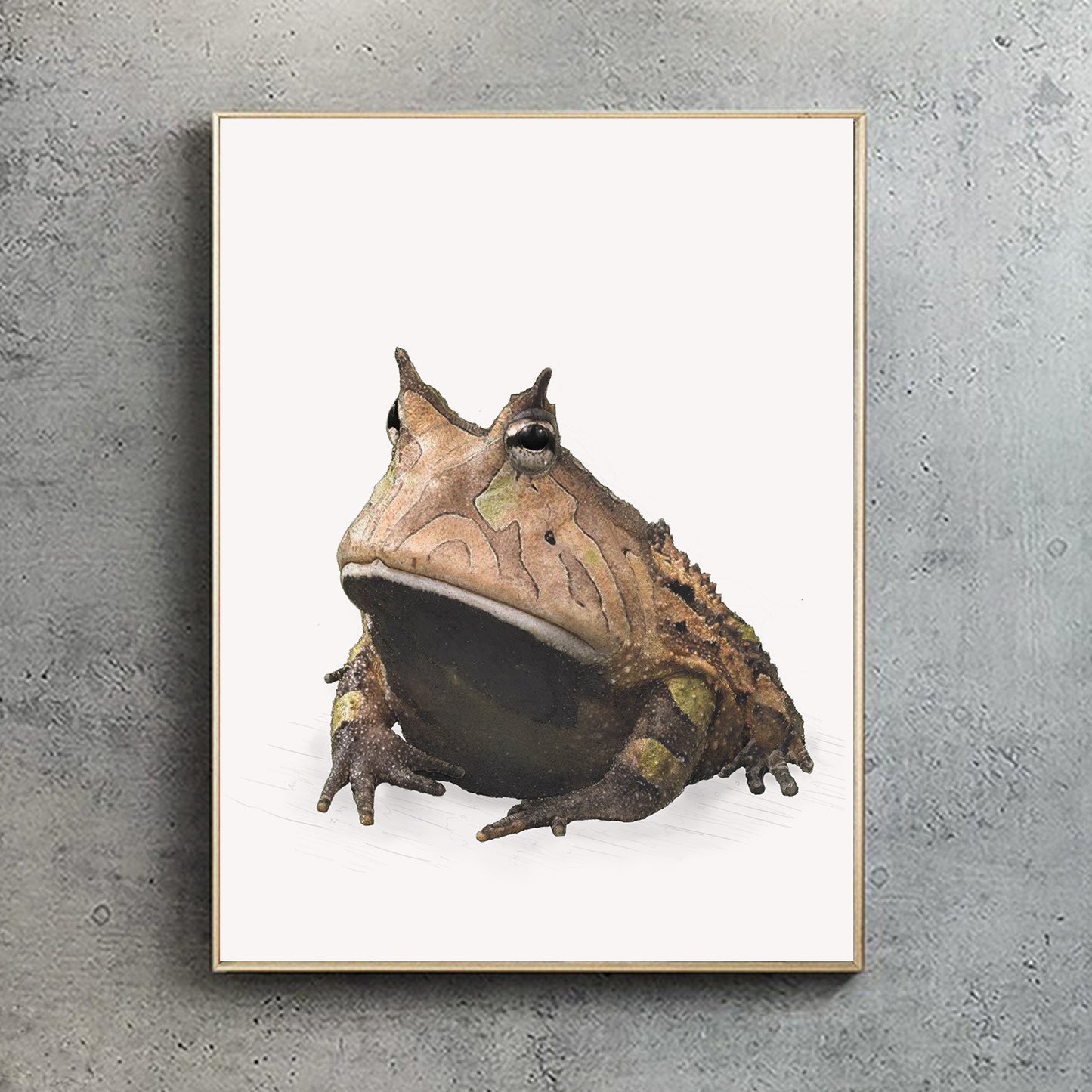 Amazon Horned Frog print - Reduced to Clear