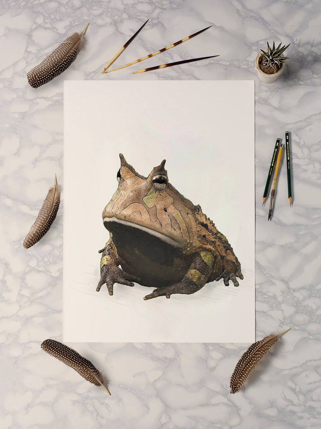 Amazon Horned Frog print - Reduced to Clear