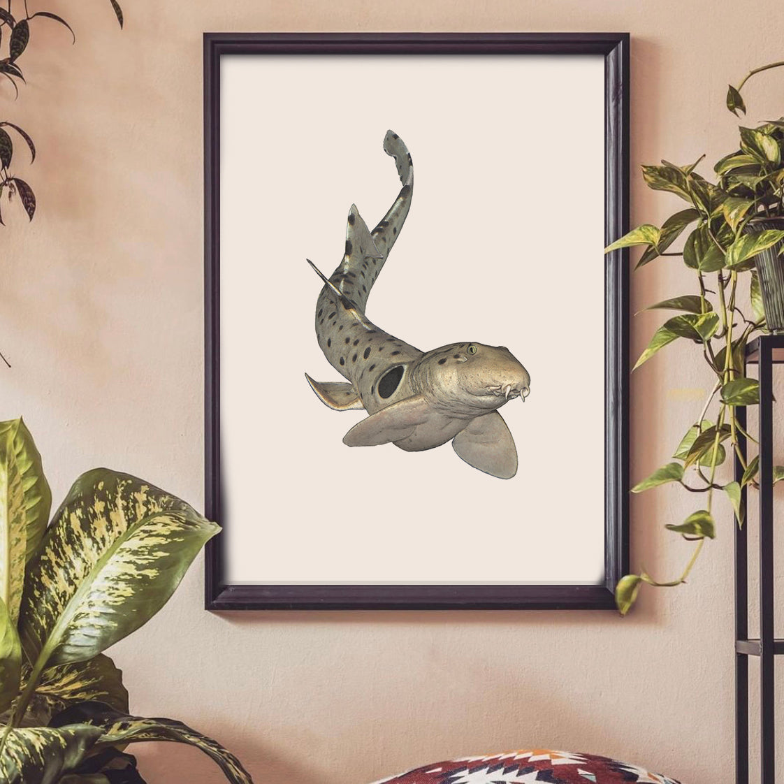 Epaulette Shark Print - Reduced to clear