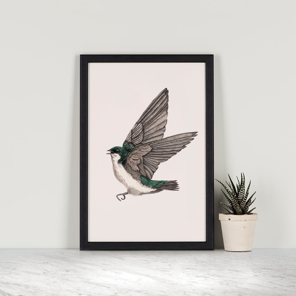 Green Tree Swallow - Reduced to Clear
