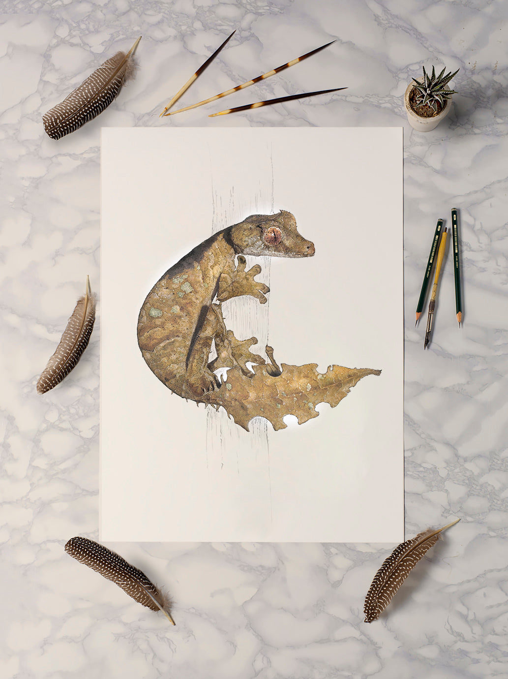 Satanic Leaf Tailed Gecko