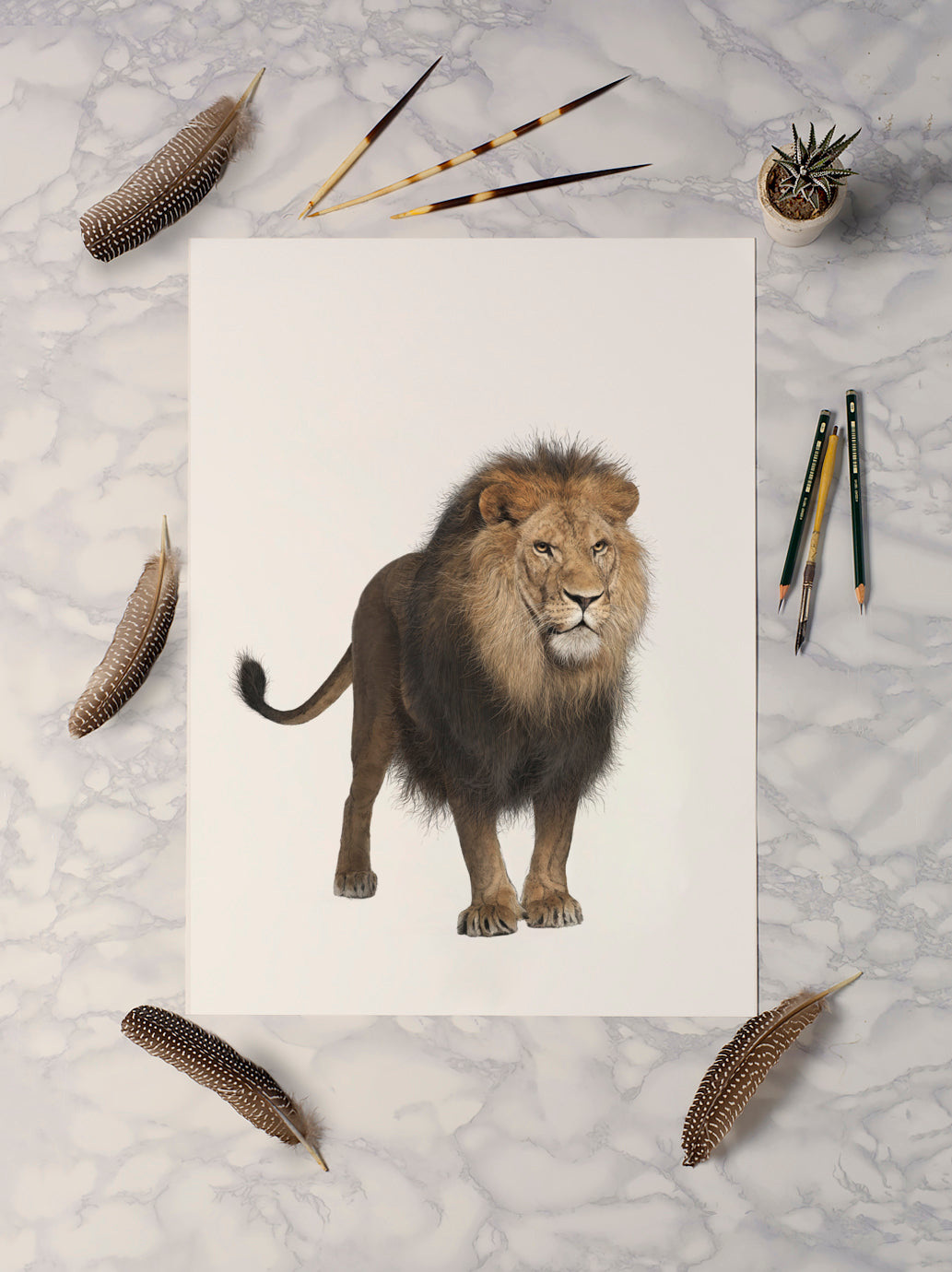 African Lion - Full Body Print - Reduced to clear