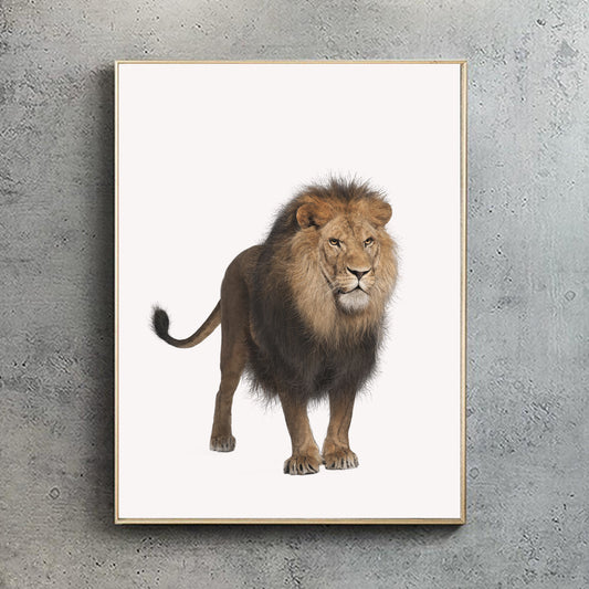 African Lion - Full Body Print - Reduced to clear