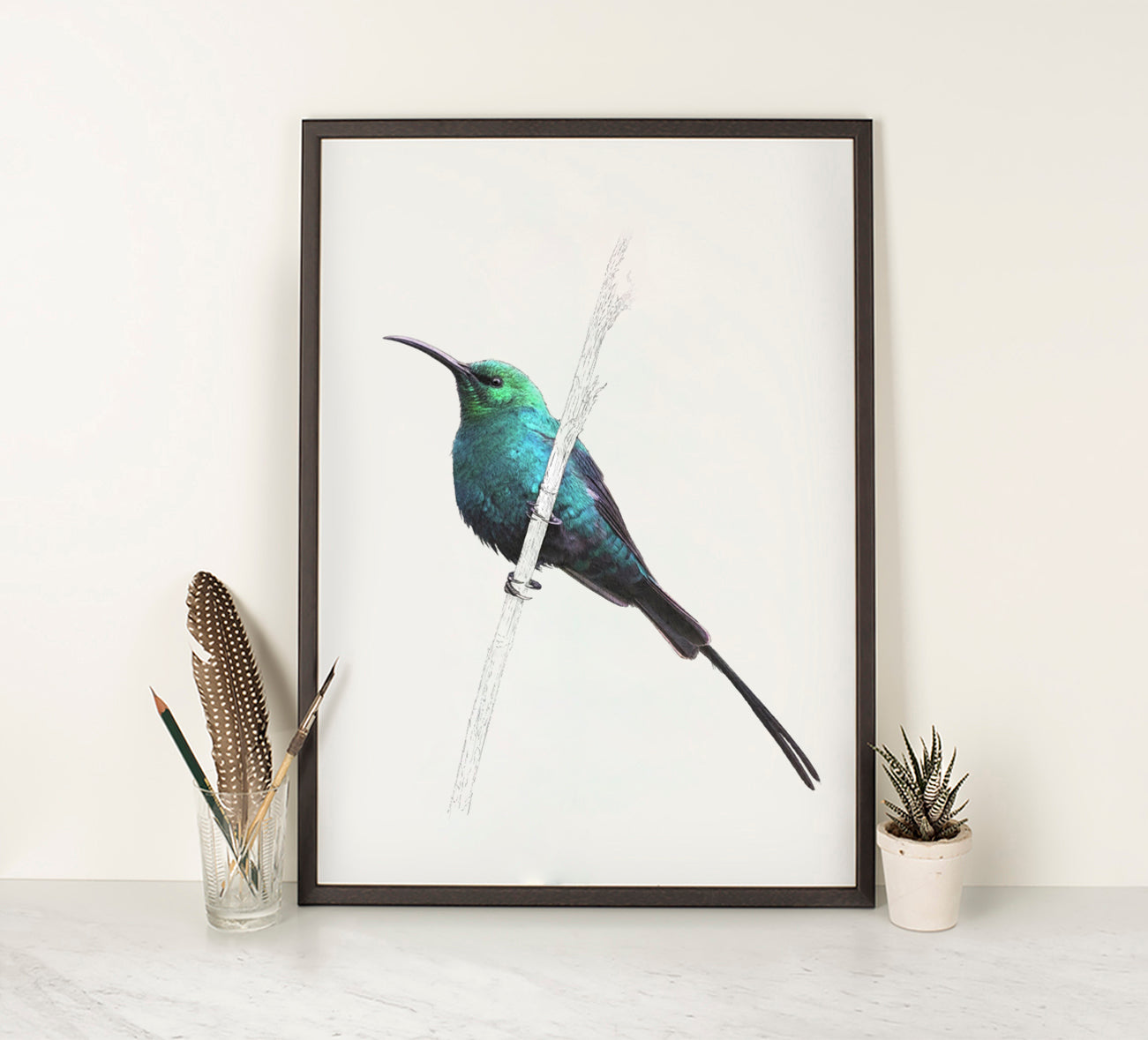 Malachite Sunbird