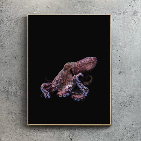 Common Octopus, Black edition. Limited Edition Print