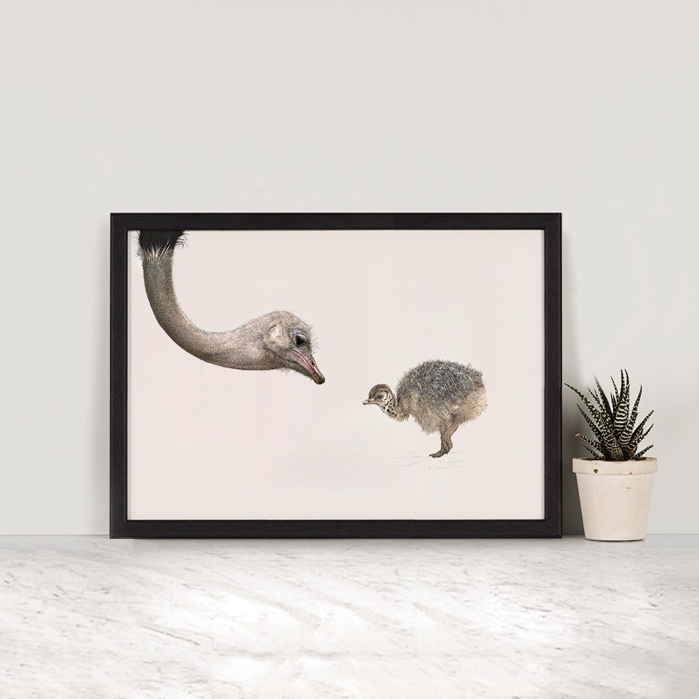 A2 Ostriches print - Reduced to Clear