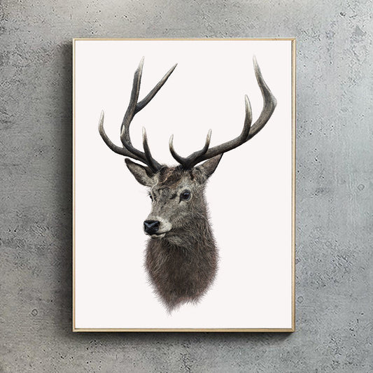 Red Deer Stag print - reduced to clear
