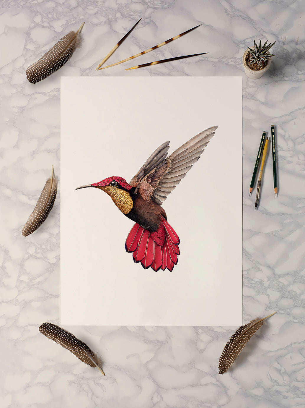 Ruby Topaz Hummingbird 2