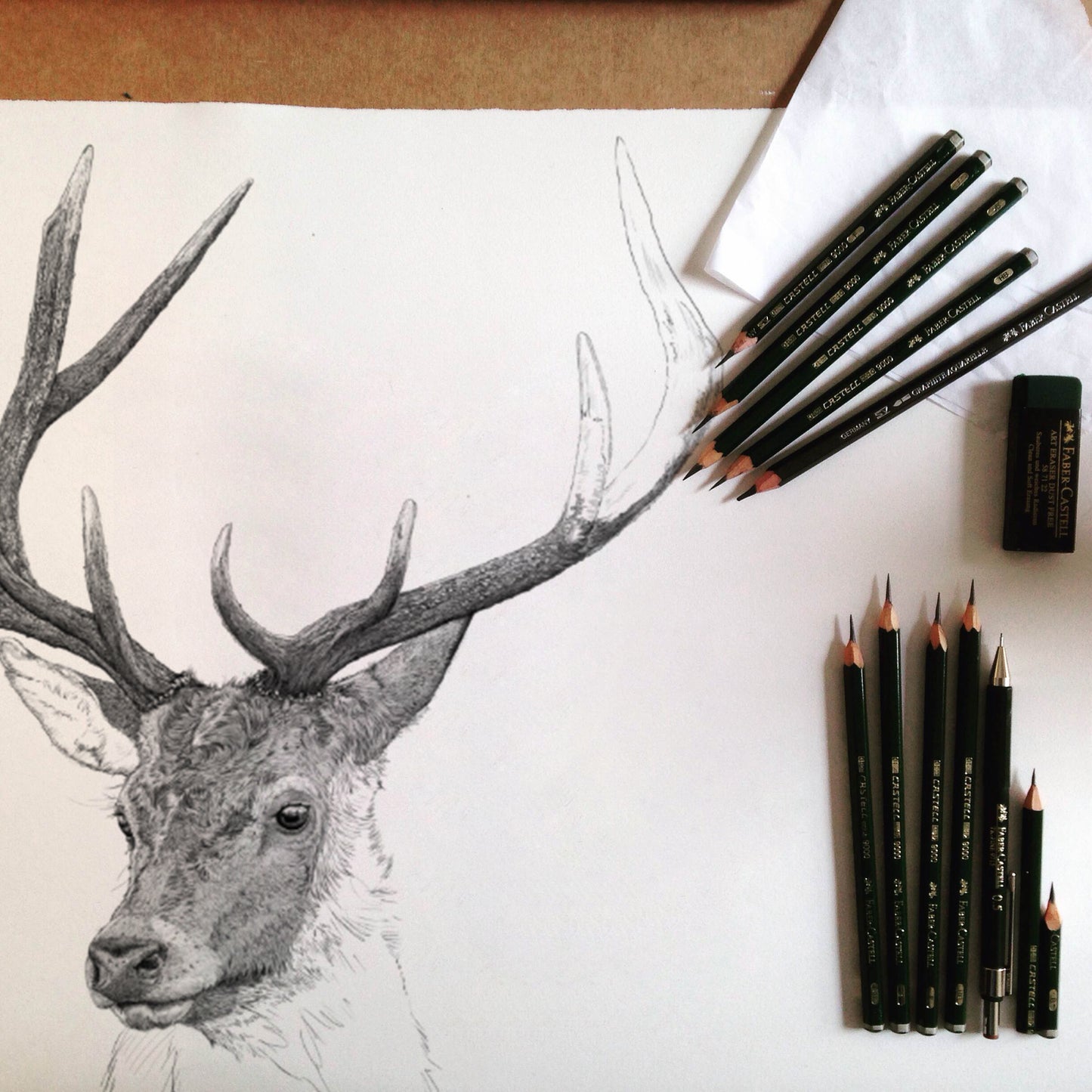 Red Deer Stag print - reduced to clear