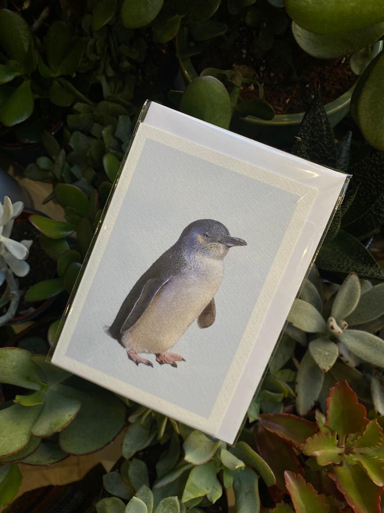 Little Penguin - Greeting Card