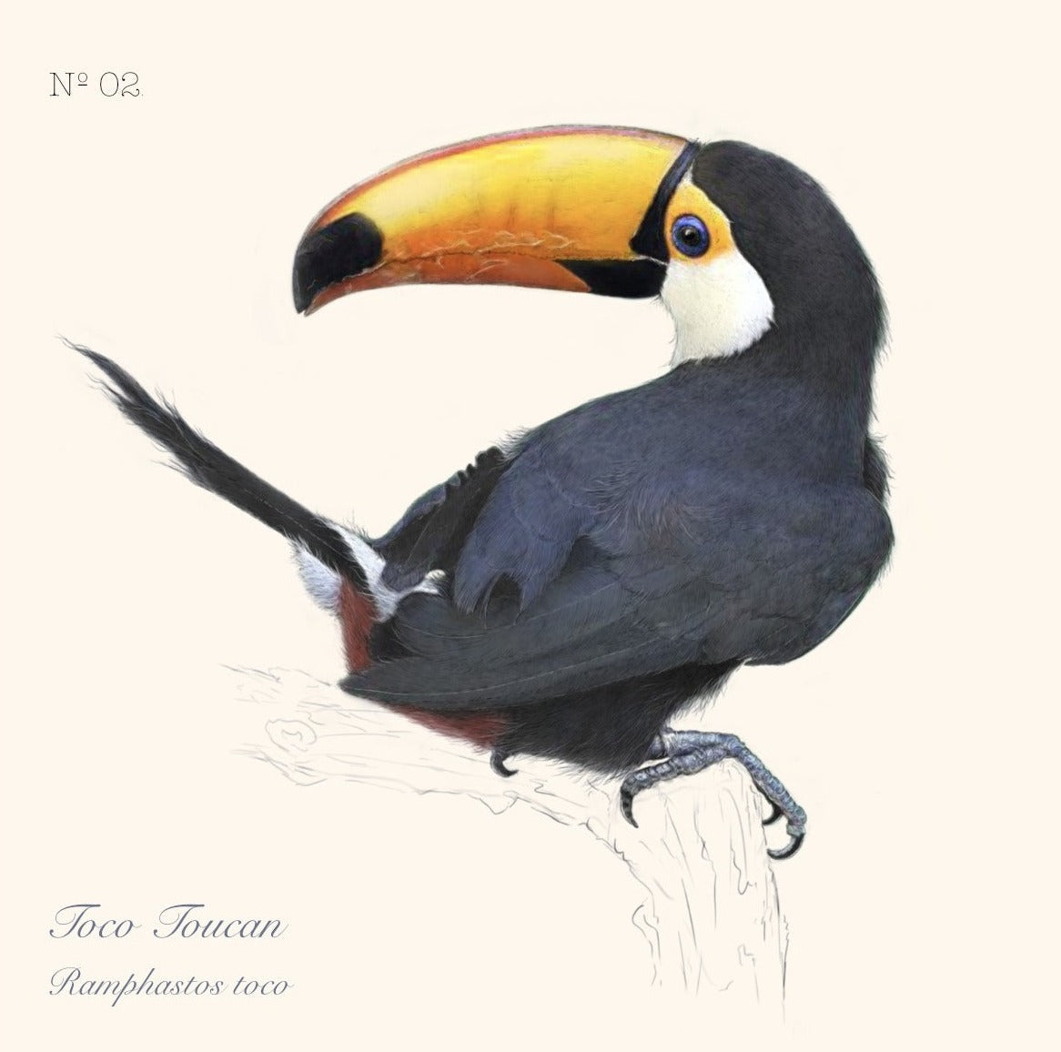 Hidden Planet 2023 Calendar