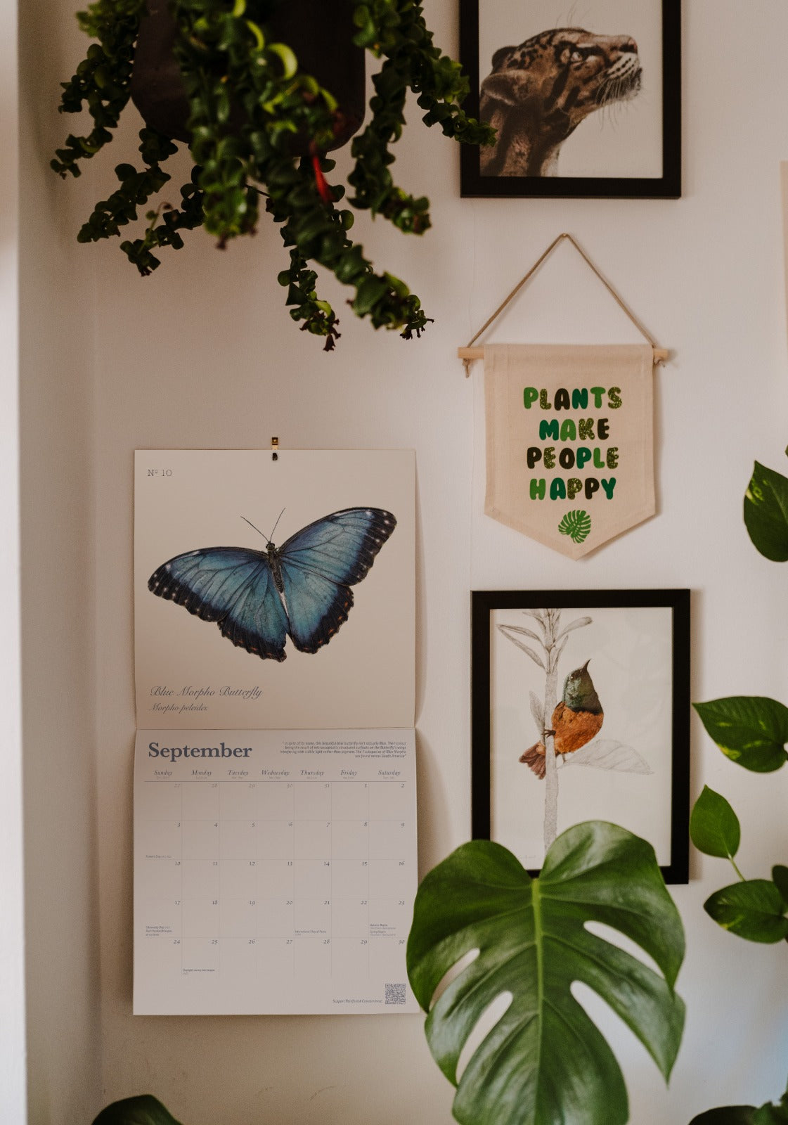 Hidden Planet 2023 Calendar