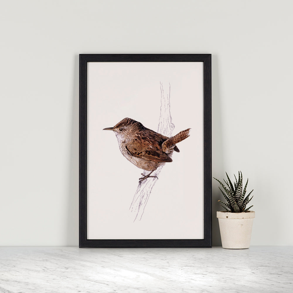 Eurasian Wren print - portrait