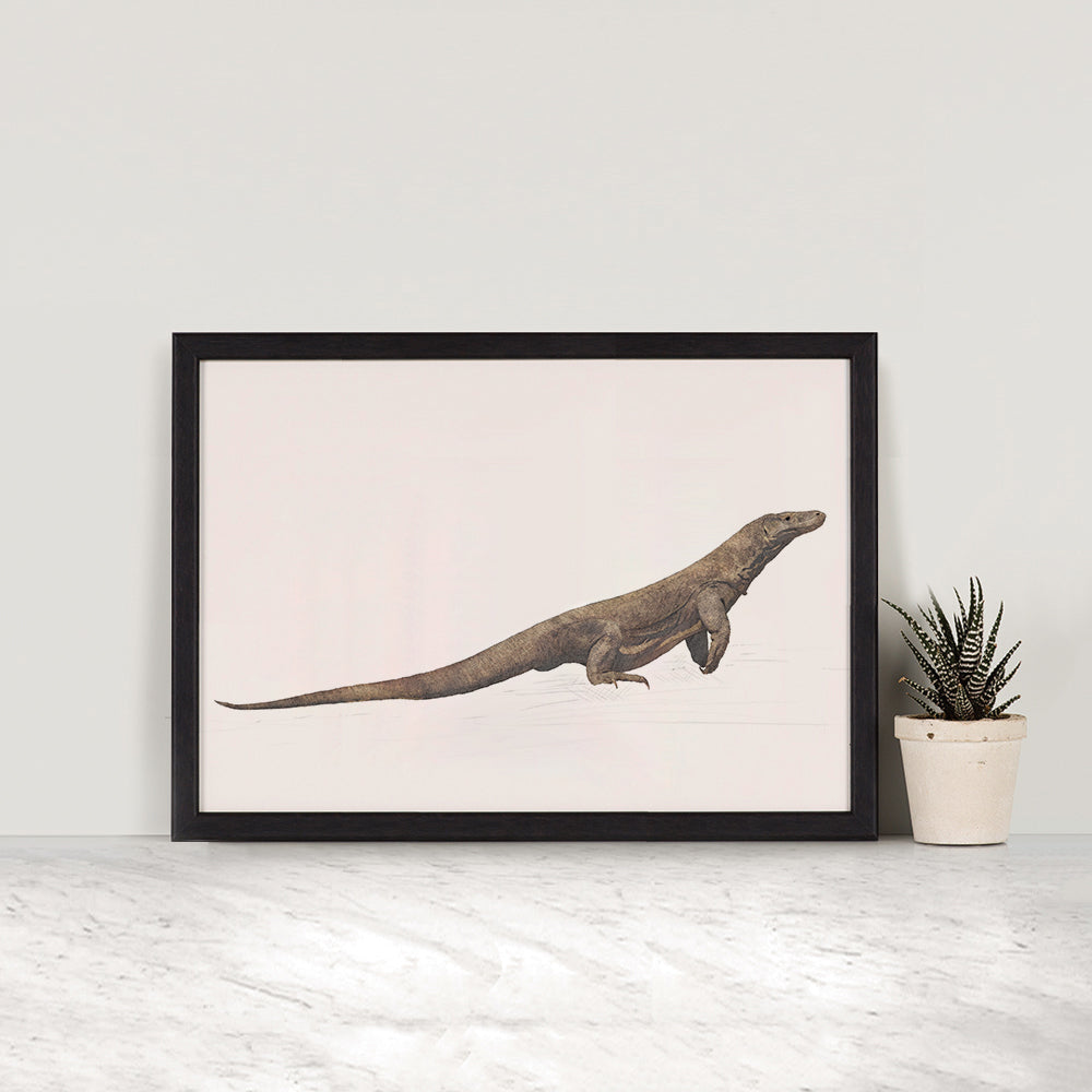 Komodo Dragon print - A4 size - reduced to clear