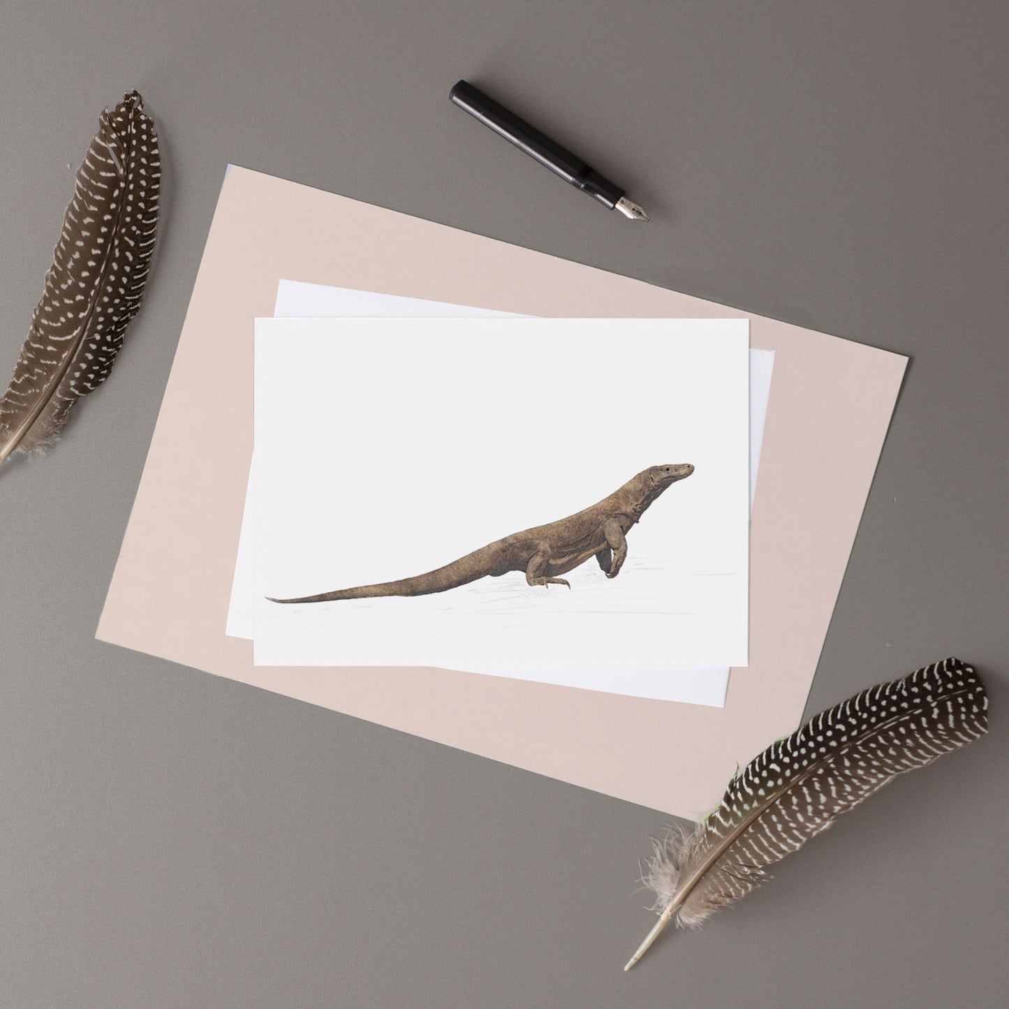 Komodo Dragon